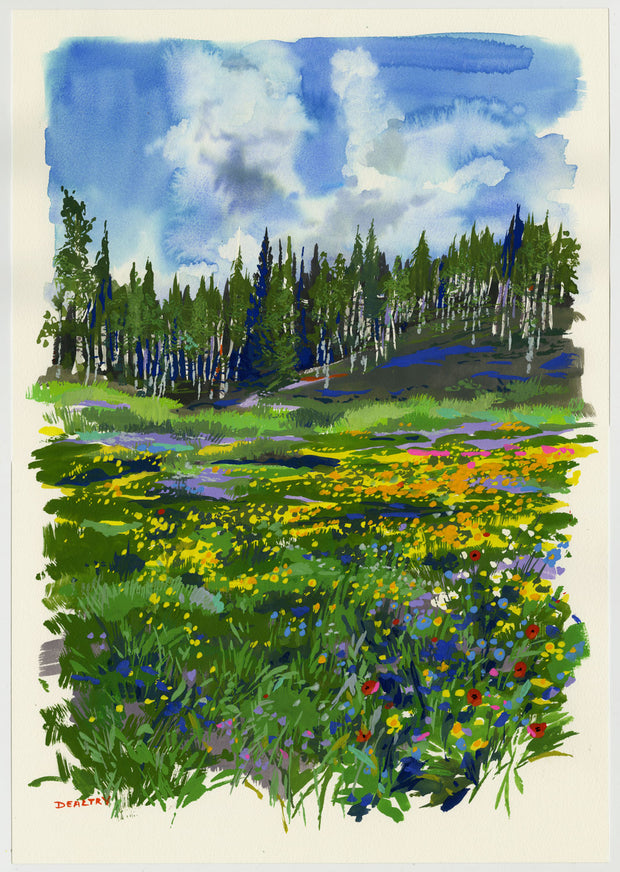 Wildflower Fields After The Pines