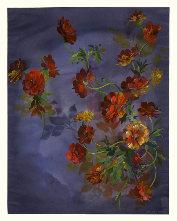 Butterfly Ranunculus Limited Edition Print