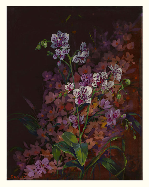 Orchid Pool Limited Edition Print