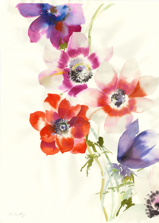 Class Anemones