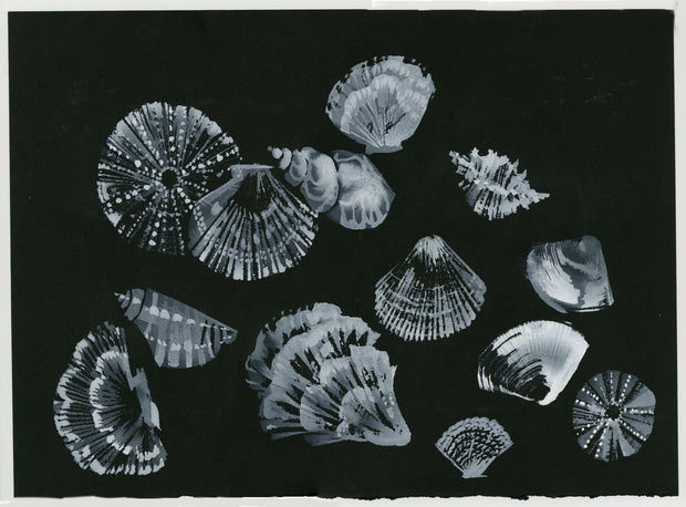 Tonal Shells 1