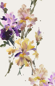May 2022 Workshop : Iris, The Jewel of the Garden