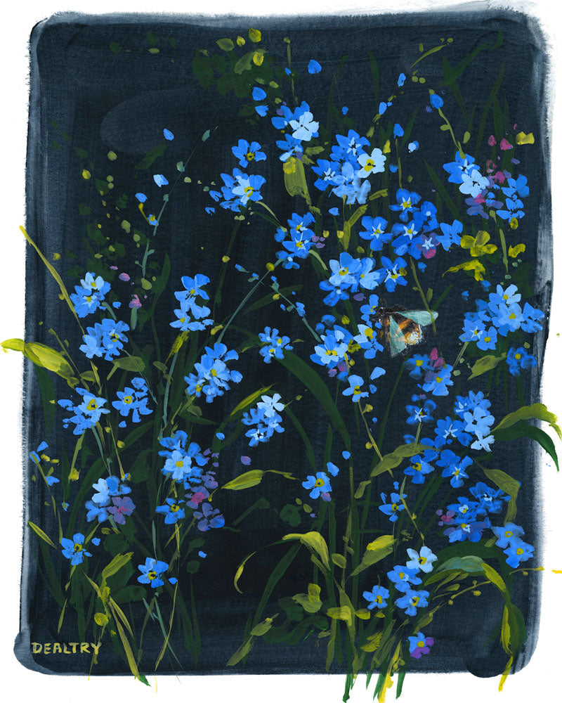 Forget-me-not 1 - Giclee Print – Dealtry Designs