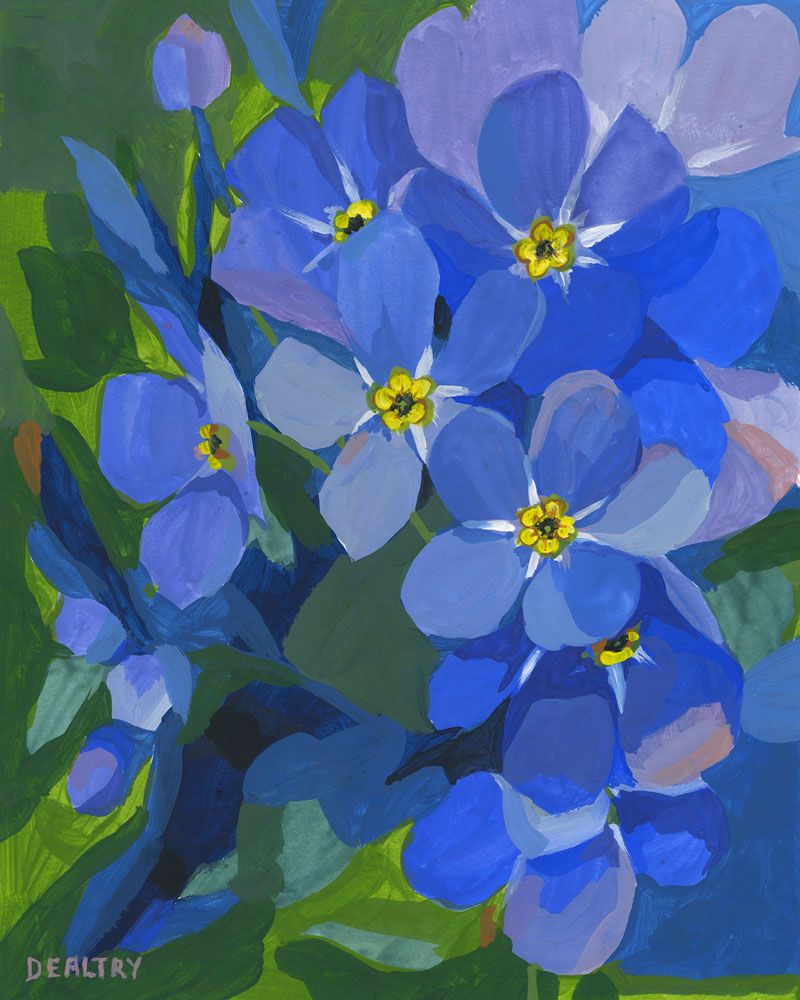 Forget-me-not 2 - Giclee Print – Dealtry Designs