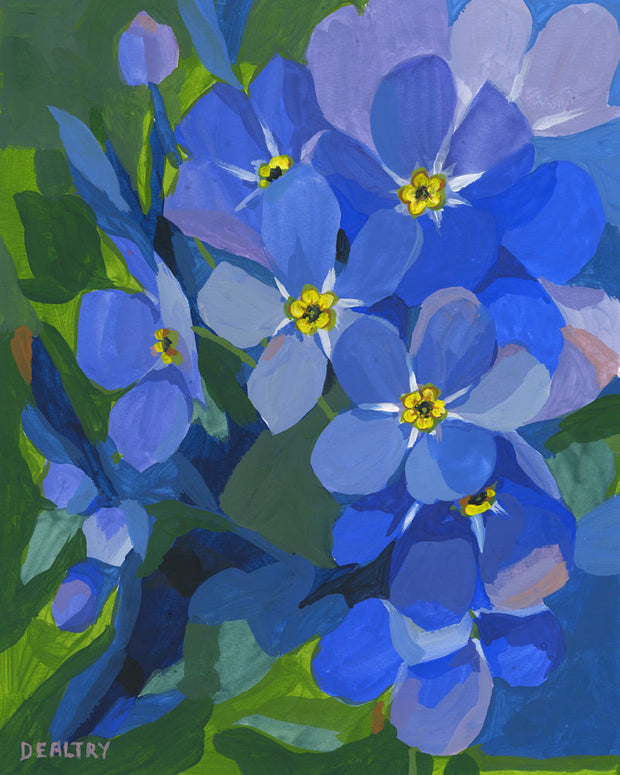 Forget-me-not 2 - Giclee Print