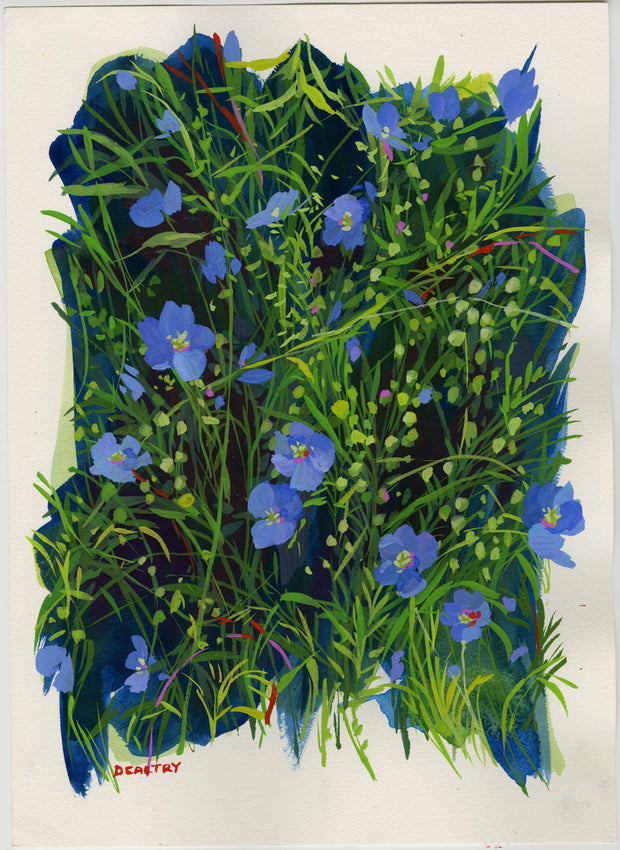 Blue Flax 2 Print