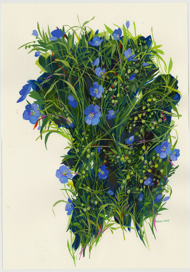 Blue Flax 1 Print
