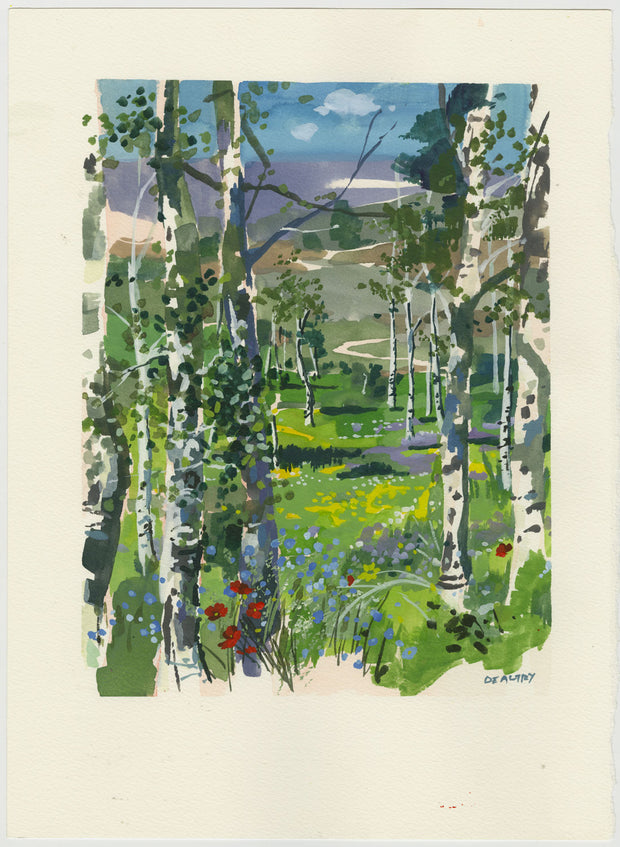 Silver Birch at Camp 2