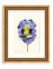 Pansy Study 15