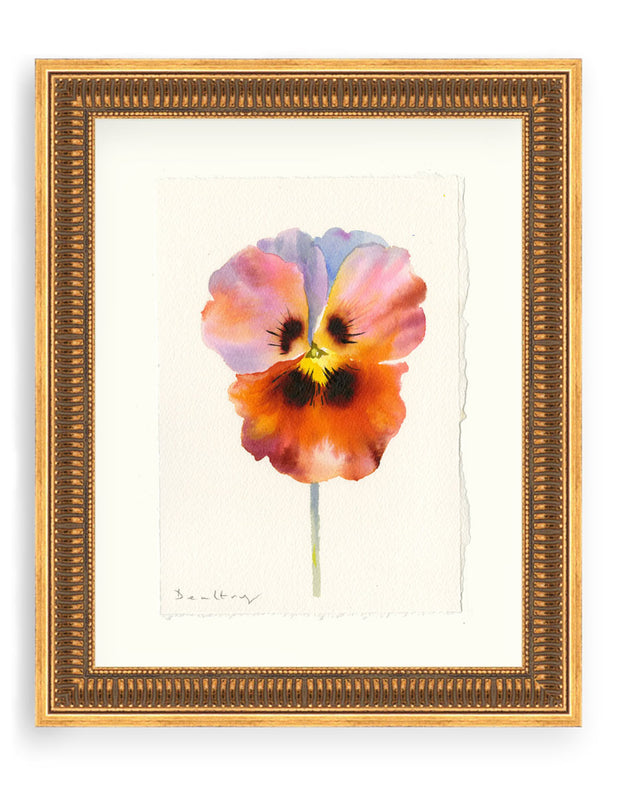Pansy Study 3