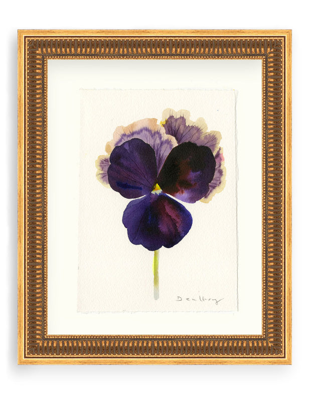 Pansy Study 4